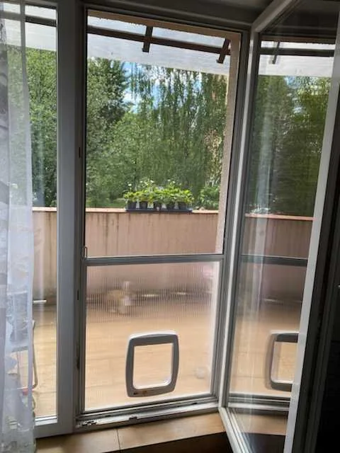 Moskitiera drzwiowa z przejściem dla zwierząt w realizacji na Śląsku - realizacja moskitiery drzwiowej z przejściem dla zwierząt - ujęcie 2