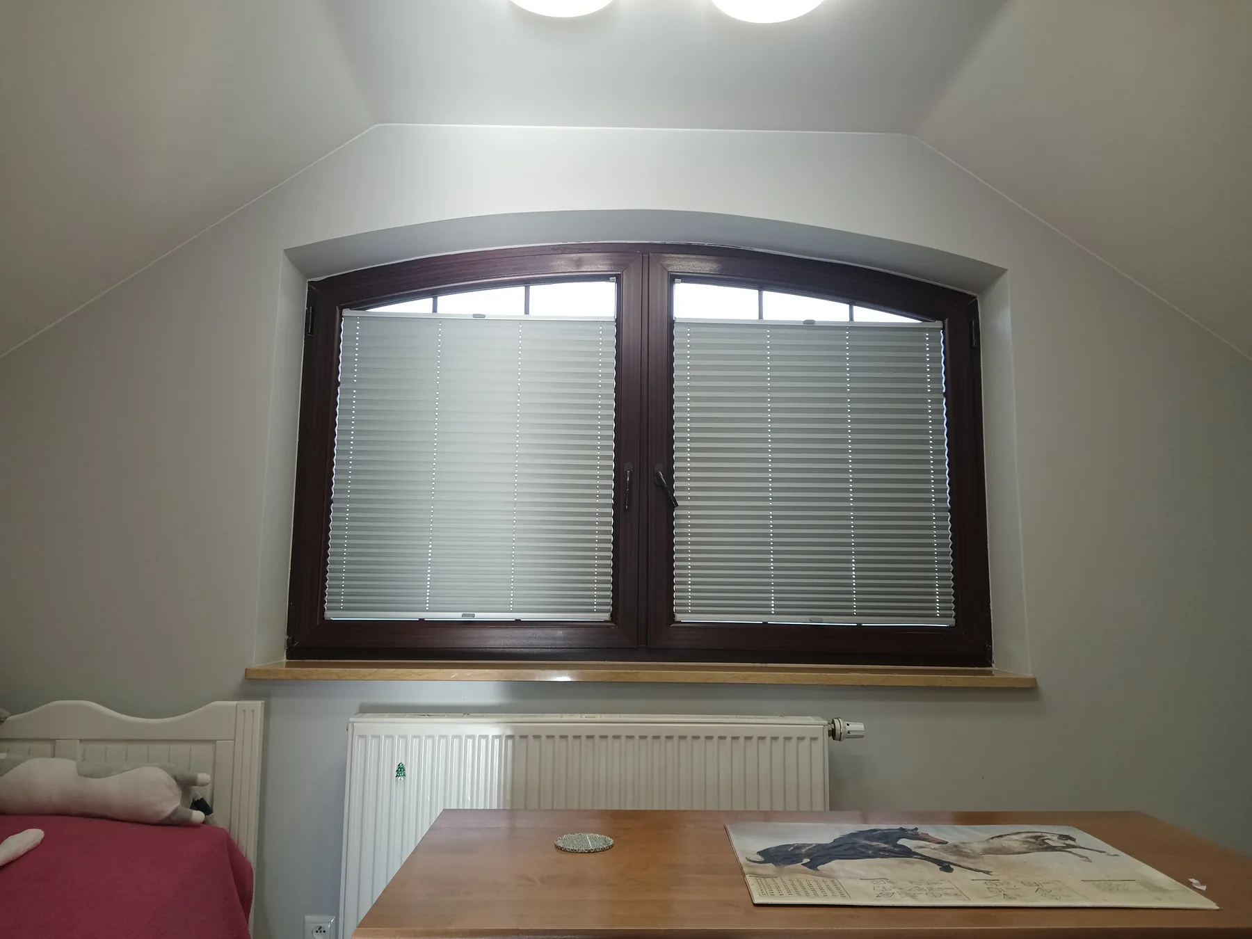 Plisy okienne w Czeladzi - ujęcie kilku okien w jednej strefie