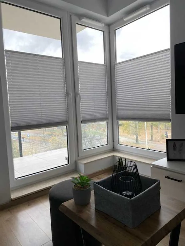 Plisy w realizacji na Śląsku - kadr batchowej realizacji plis na śląsku - ujęcie 6