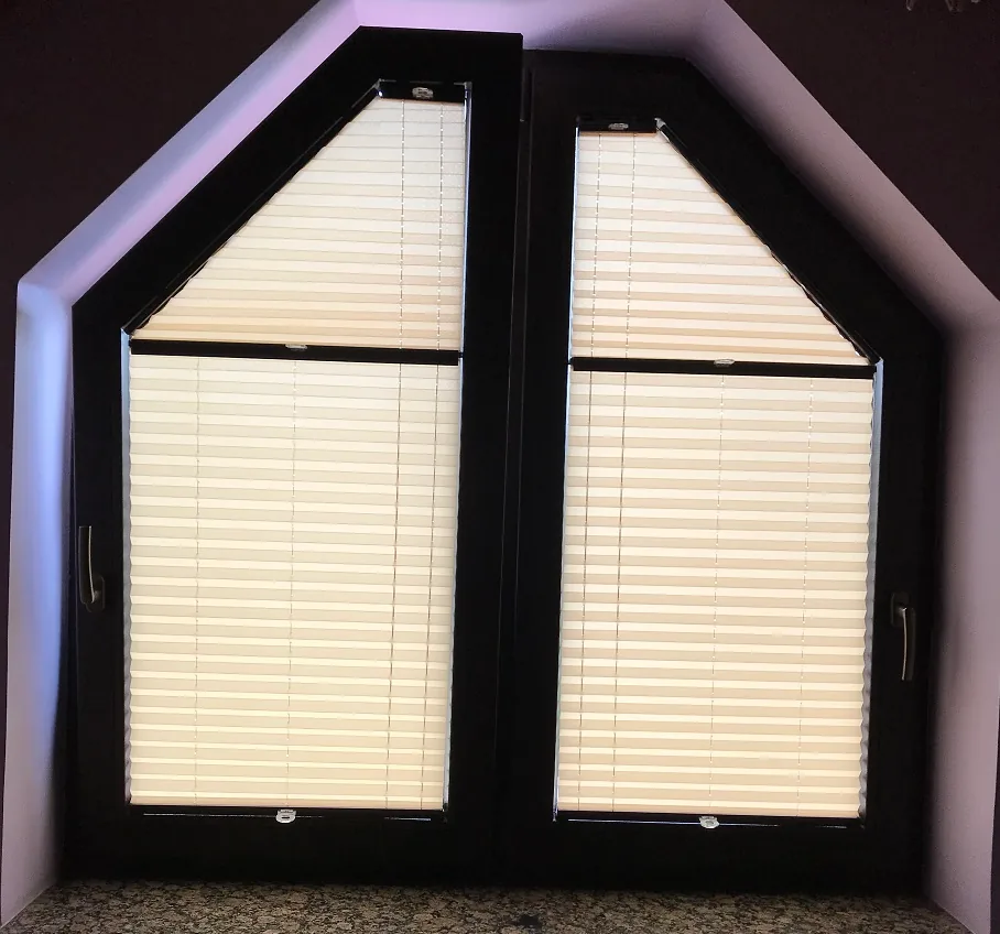 Plisy w realizacji na Śląsku - kadr batchowej realizacji plis na śląsku - ujęcie 11