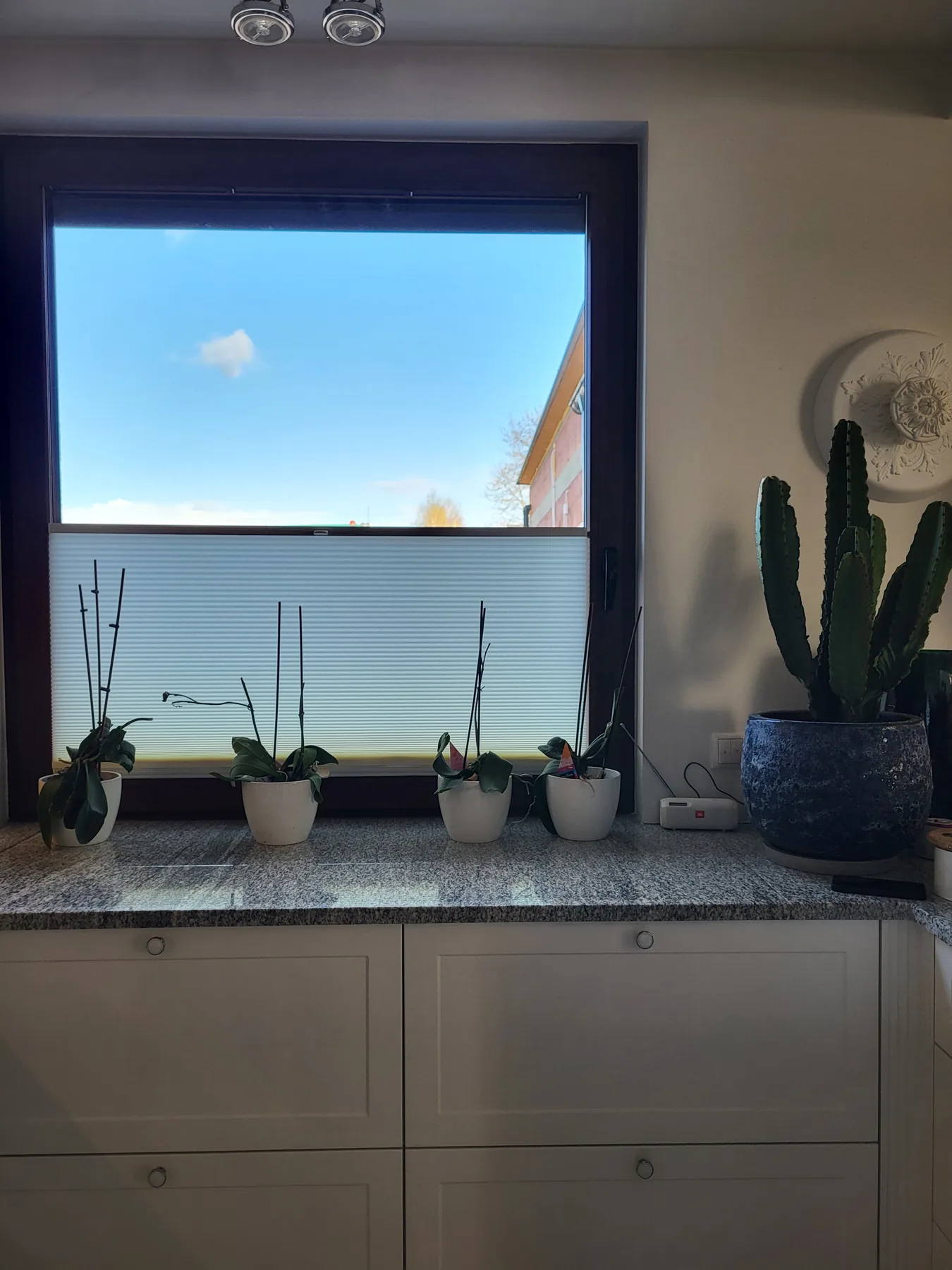 Plisa okienna w Żorach - widok okna z plisą