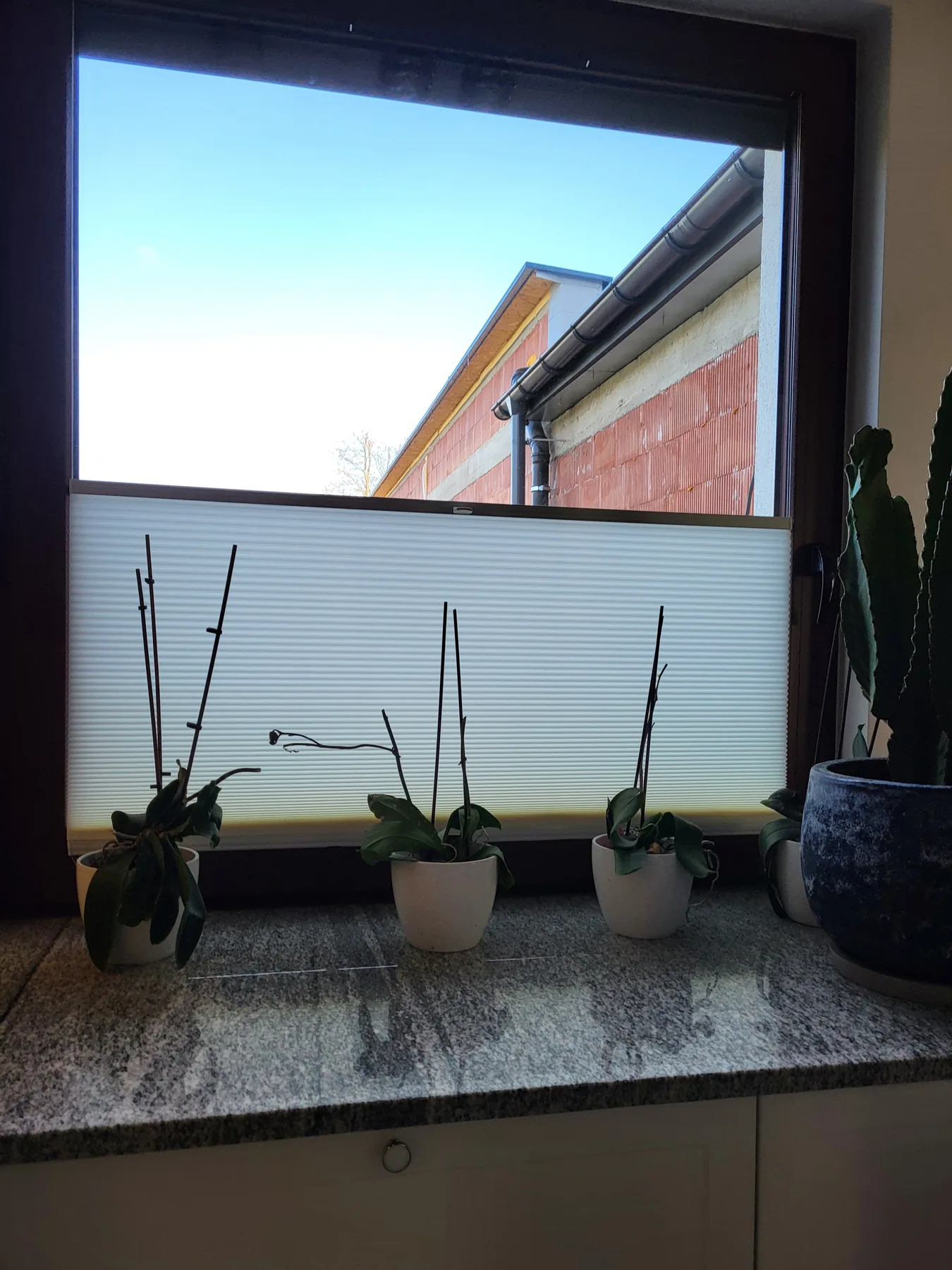 Plisa okienna w Żorach - efekt końcowy przy gotowym oknie