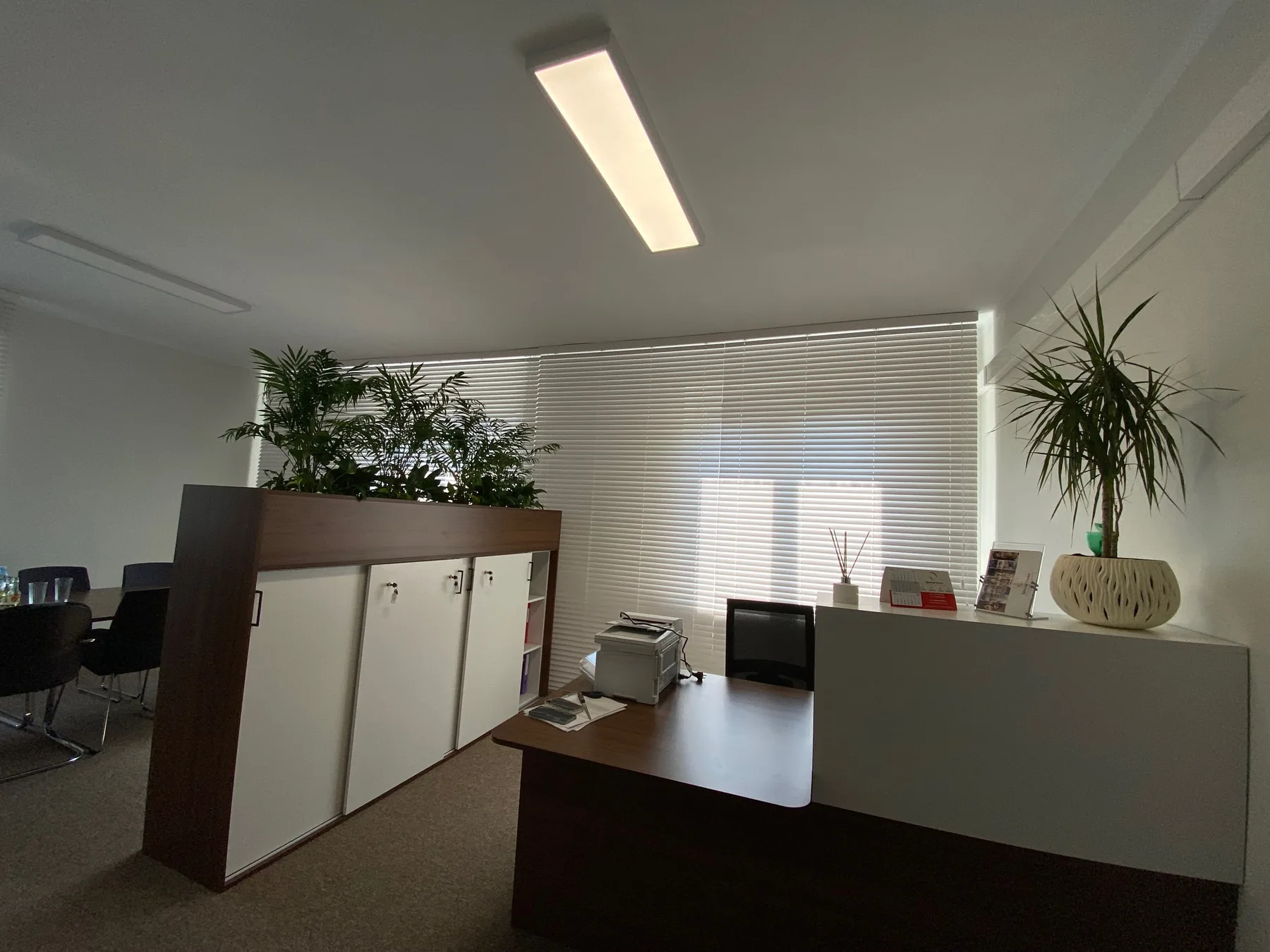 Żaluzje drewniane 50 mm w realizacji na Śląsku - kadr batchowej realizacji żaluzji drewnianych 50 mm na śląsku - ujęcie 18