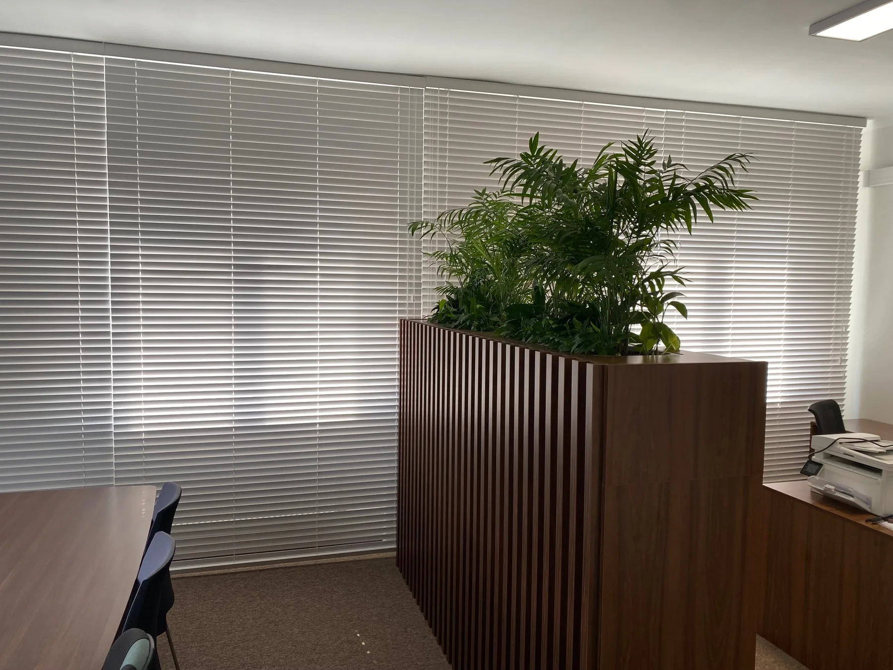 Żaluzje drewniane 50 mm w realizacji na Śląsku - kadr batchowej realizacji żaluzji drewnianych 50 mm na śląsku - ujęcie 19