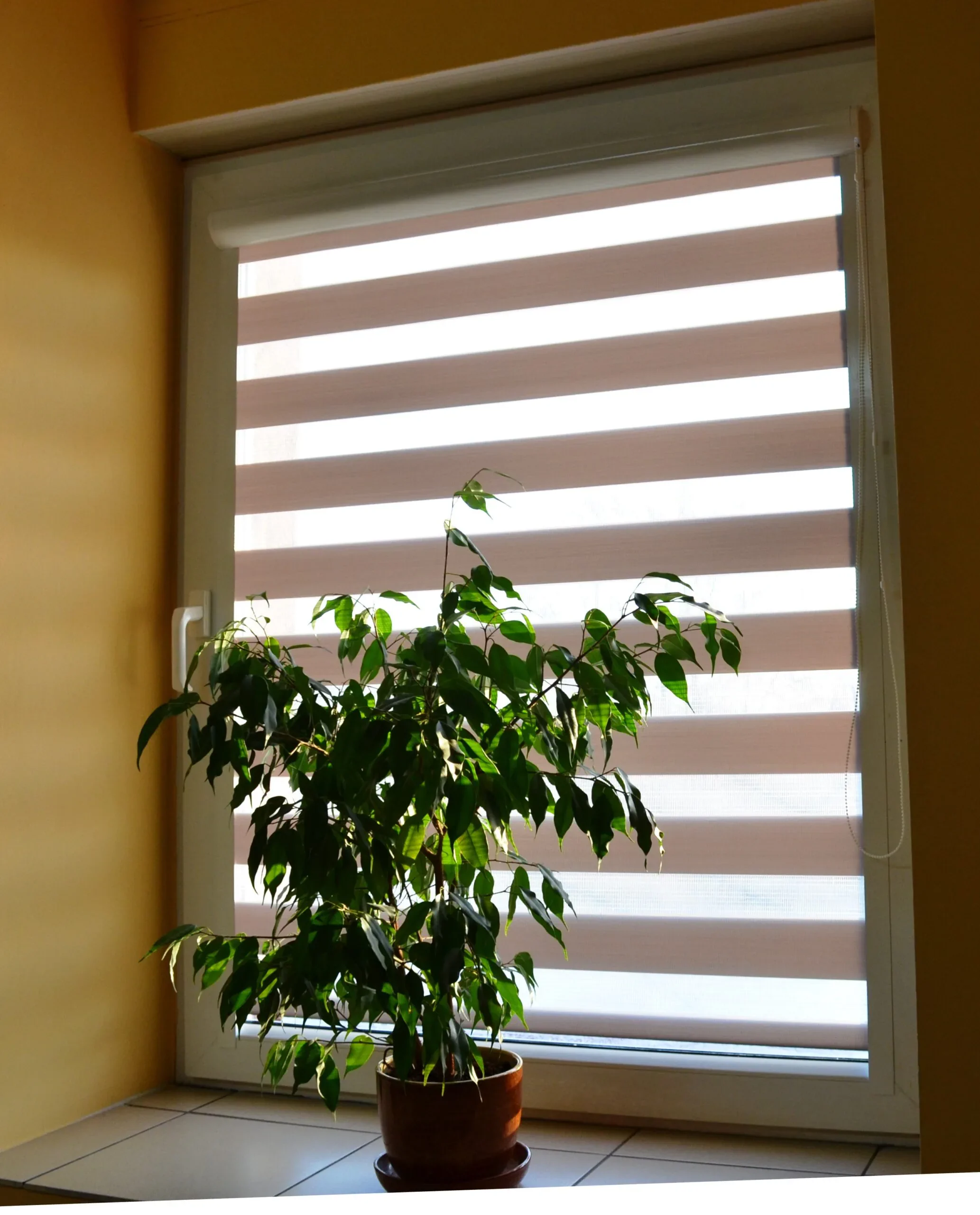 Kasetkowa roleta dzień-noc z prowadnicami