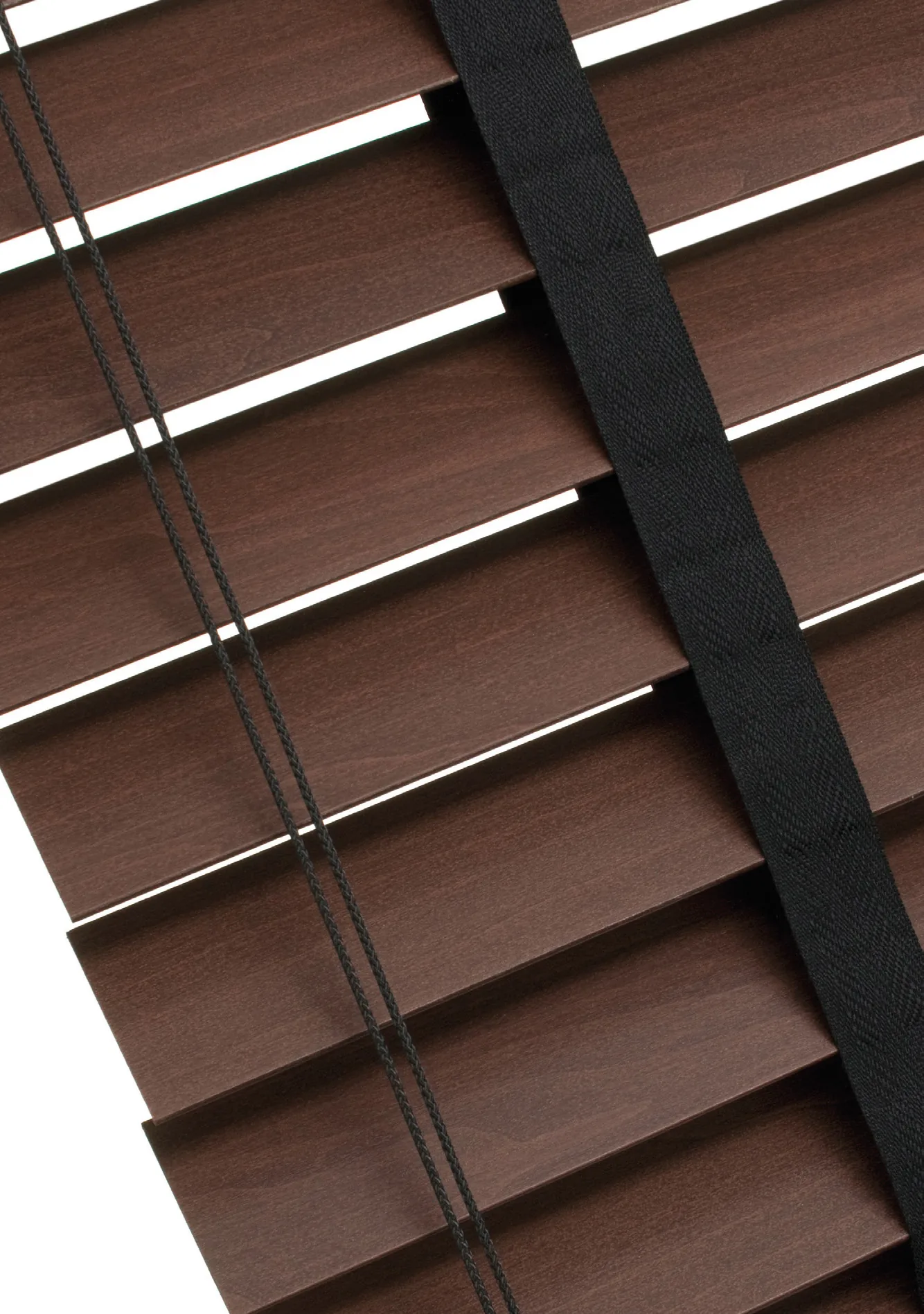 Basswood - ujęcie 2