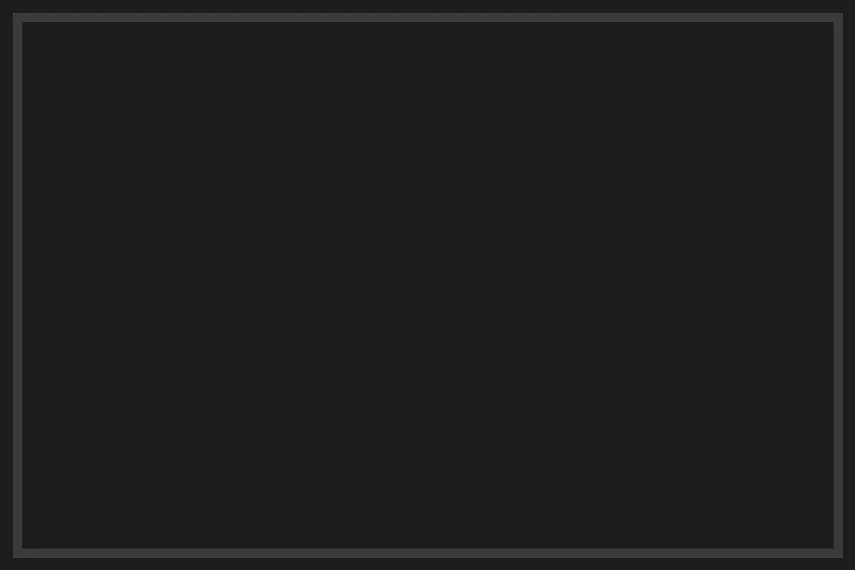 Próbka koloru Profil czarny (RAL 9005)